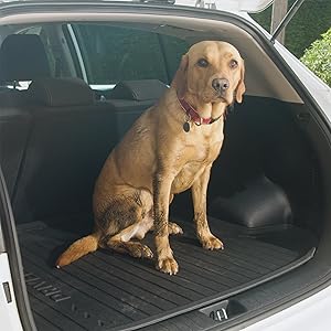 Pet Friendly DRIVEDEN Boot Mats