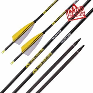 PHILOCS 12pcs ID 6.2mm Hunting Arrows