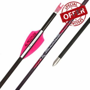 PHILOCS 12pcs ID 4.2 mm Pink White Vane Hunting Arrows Spine 1000 1100 1300 1500 1800 Practice Arrow for Recurve Bow Compound Bows Archery