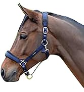 Cottage Craft Horse Grooming Kit 5 Pieces Equestrian Brushes Set Dandy Face Tail Body Brush Hoof ...