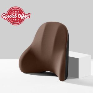 RAKTDA Car Lumbar Cushion for BMW 5 Series 520e 530i 530d 530e 540i 540d 545e