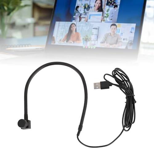 Built in Microphone