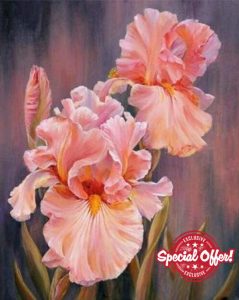 Cooiiye Paint by Numbers Kits for Adults