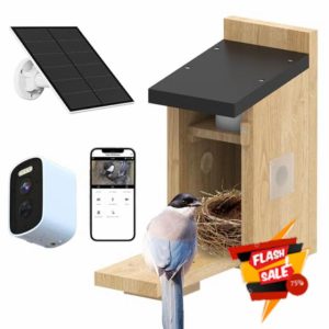 Bird House with Camera