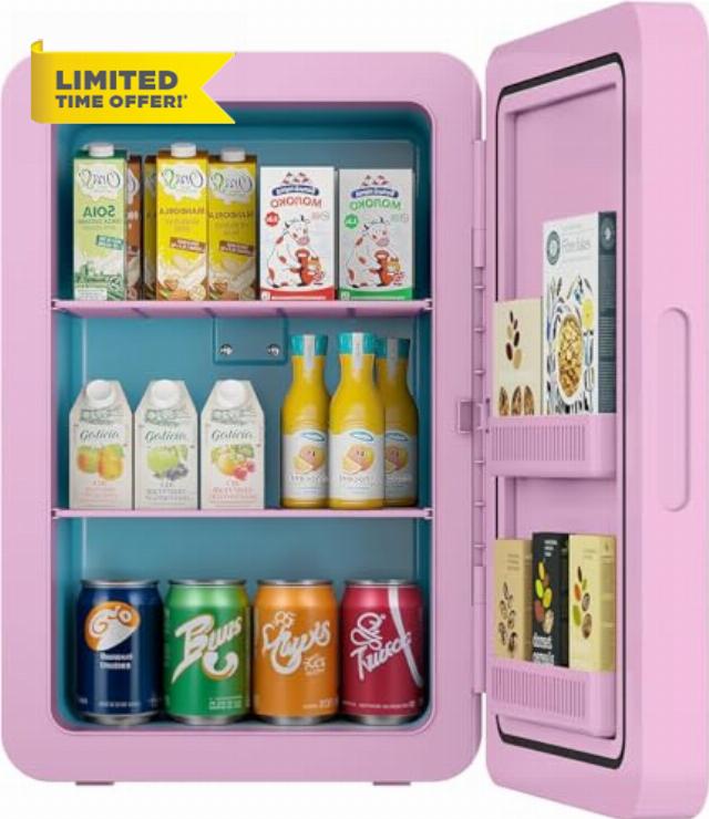 Rebongki Mini Fridge 22L/ 30 Cans Cooler and Warmer Portable Mini Fridge for Bedrooms with Adjustable Shelves