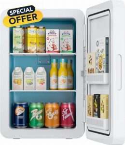 Rebongki Mini Fridge 22L/ 30 Cans Cooler and Warmer Portable Mini Fridge for Bedrooms with Adjustable Shelves