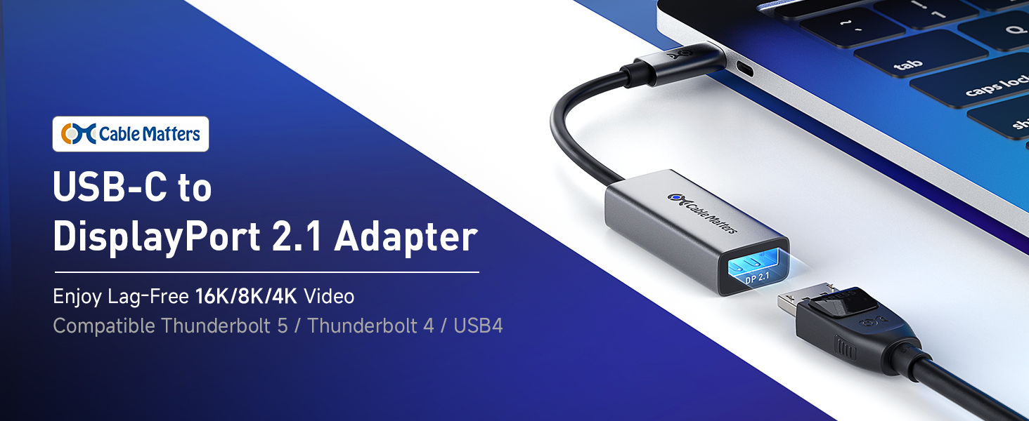 usb c to displayport 2.1
