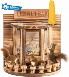 Squirrel Feeder for Outside