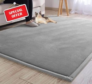 DG Catiee Large Crawling Mat Play Rug Soft Fleece Area Rug