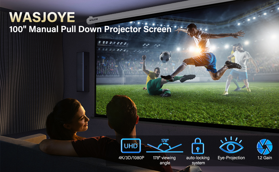 Manual Pull Down Projector Screen