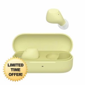 Sony WF-C510 Truly Wireless Earbuds – Small