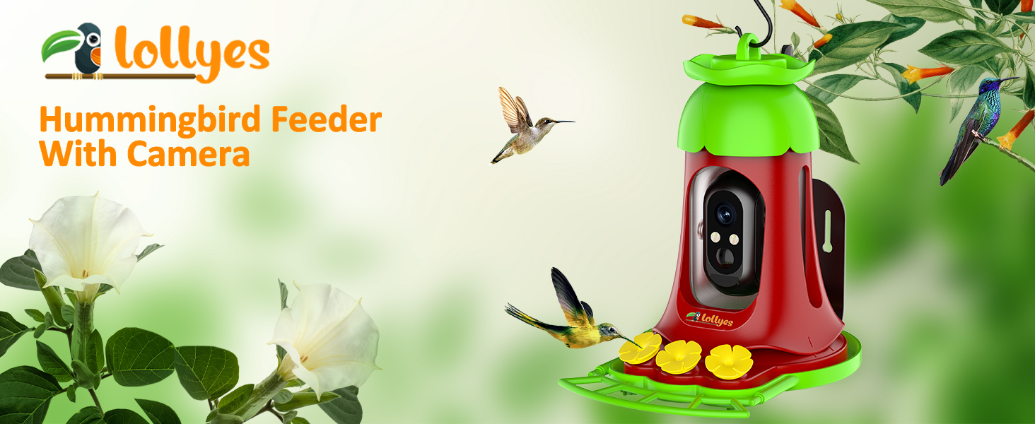Hummingbird Feeder with Camera