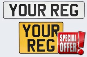 Metal Pressed Oblong & 11 x 8 - Pair of 2 Plates