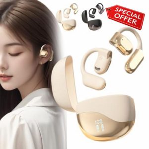 Ai Translator Earbuds