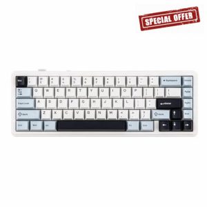 EPOMAKER x AULA F65 65% Wireless Mechanical Keyboard