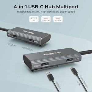 Type- C Multiport Hub with PD 100W / USB-C 3.1 / USB-C 2.0 with Audio Adapter x 2