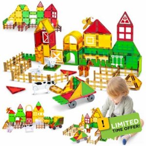 BuzzoXerex Magnetic Building Blocks