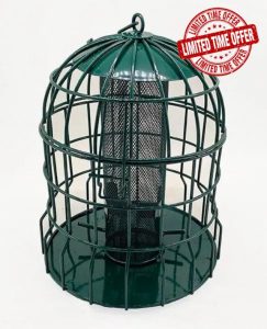 Heavy Duty Caged Squirrel Proof Seed Feeder