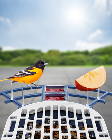 2K Smart Bird Feeders with Camera Solar Powered, Live View, Instant Bird Identify Notification, A...
