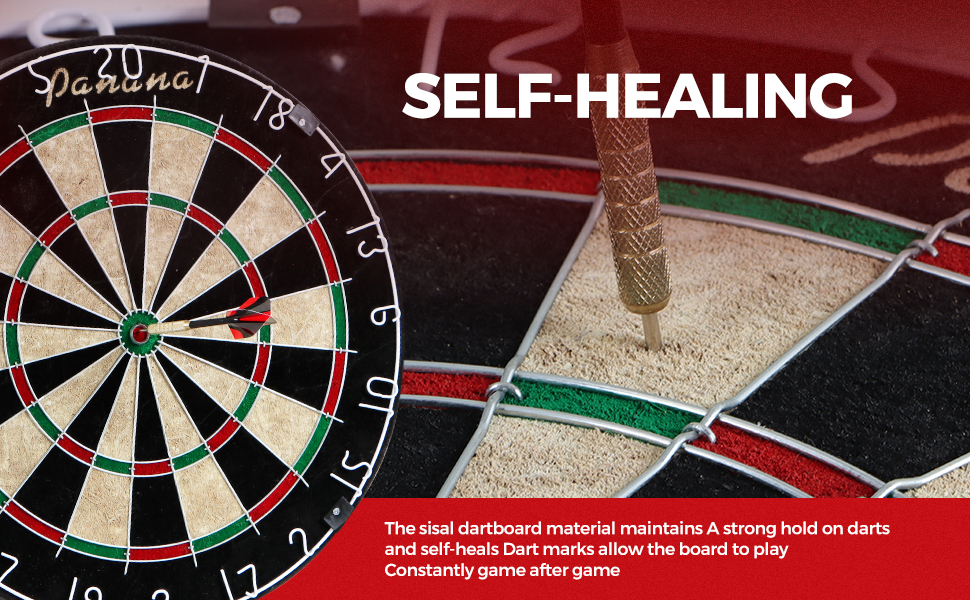 Dartboard