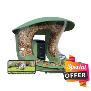 Birdfy Upgraded Bird Feeder Camera