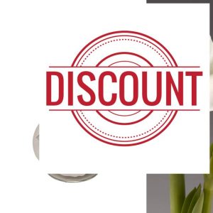 Carbeth Plants - Amaryllis White Waxed Bulb Live Houseplant in Gift Sleeve - No Water Indoor Flowering Hippeastrum Growing Bulb - Christmas Gardening Gift Idea for Plant Lovers (White Wax)