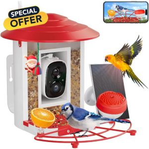Bird Feeder with Camera Solar Powered