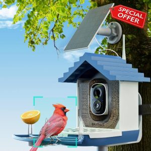 2K Smart Bird Feeders with Camera Solar Powered