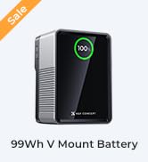 2600mAh NP-FZ100 Battery