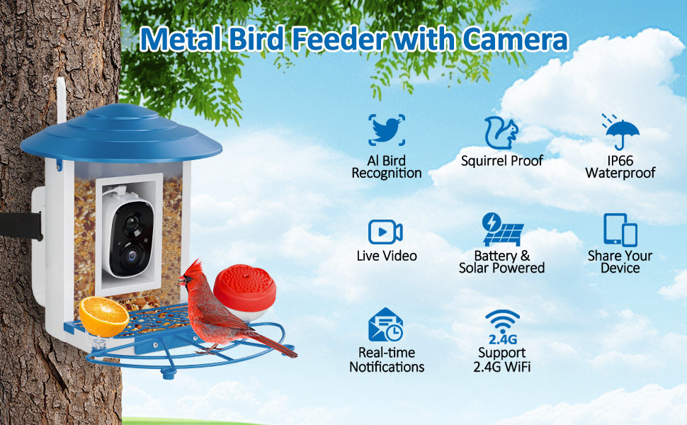 bird feeder with camera