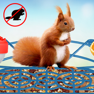 bird feeder camera with different add-ons