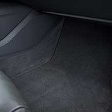 Cleaning Car mat