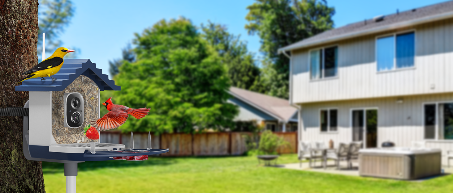 Butrut bird feeder