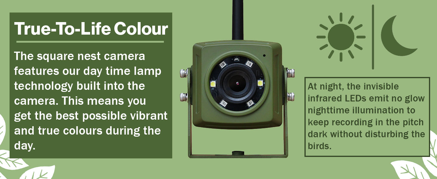 bird camera features, night vision