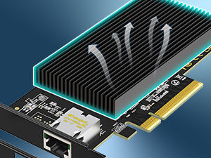 10g network card