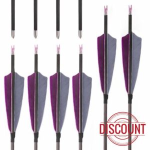 PHILOCS 12 pcs ID 4.2mm Pure-carbon Arrow Spine 300 400 500 600 700 800 900 1000 Hunting Arrow