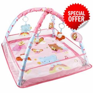 Baby Gym Play Mat