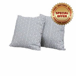 Vieuxtemps/Vierne/Fauré: Sonates Pour Violon Et Piano