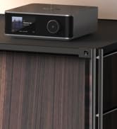 WiiM Ultra Multiroom Music Streamer | Compatible with Chromecast, Alexa | Stream Spotify, Amazon ...