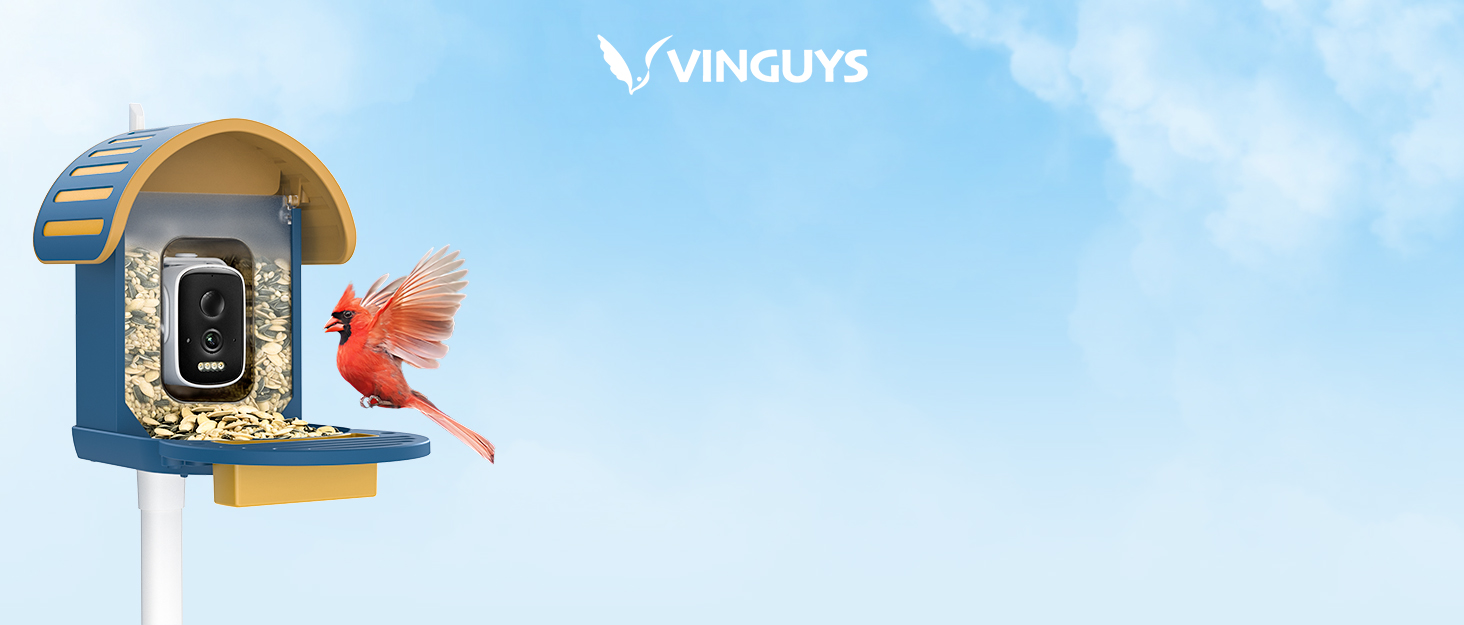 VINGUYS