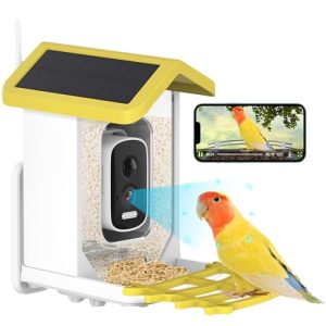 HD Camera Bird Feeder Outdoors Solar Powered