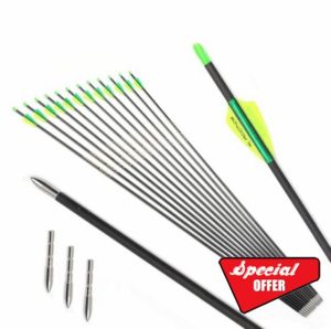 PHILOCS 12 pcs Hunting Carbon Arrows ID 4.2 mm Spine 300 400 500 600 700 800 900 1000 Practice Arrow for Archery Recurve Bows Compound Bow