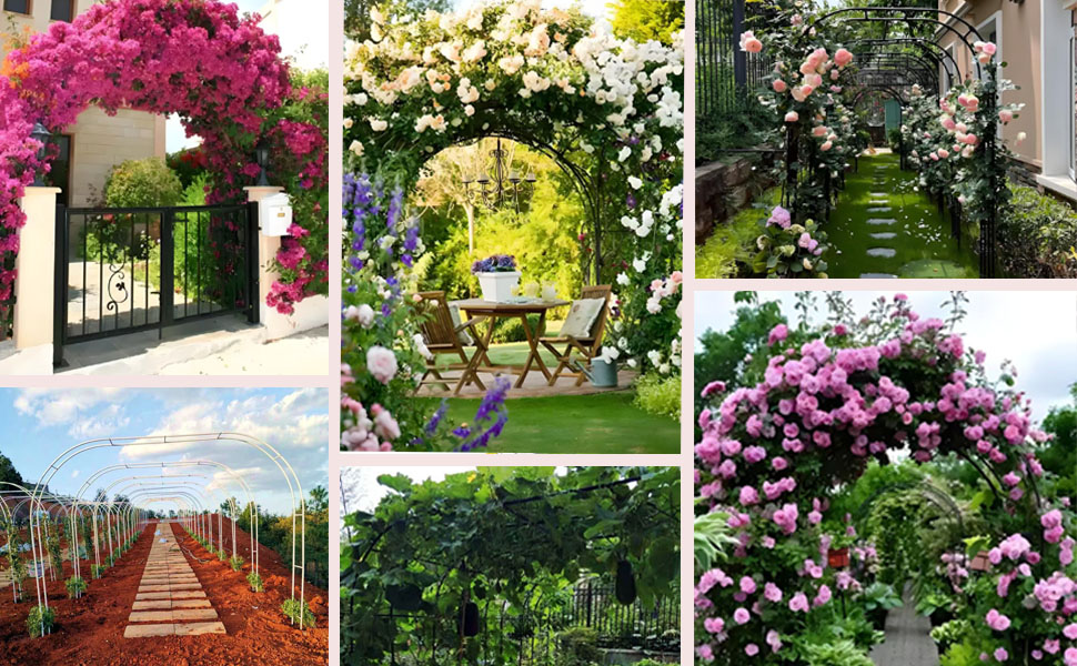 metal garden arch trellis