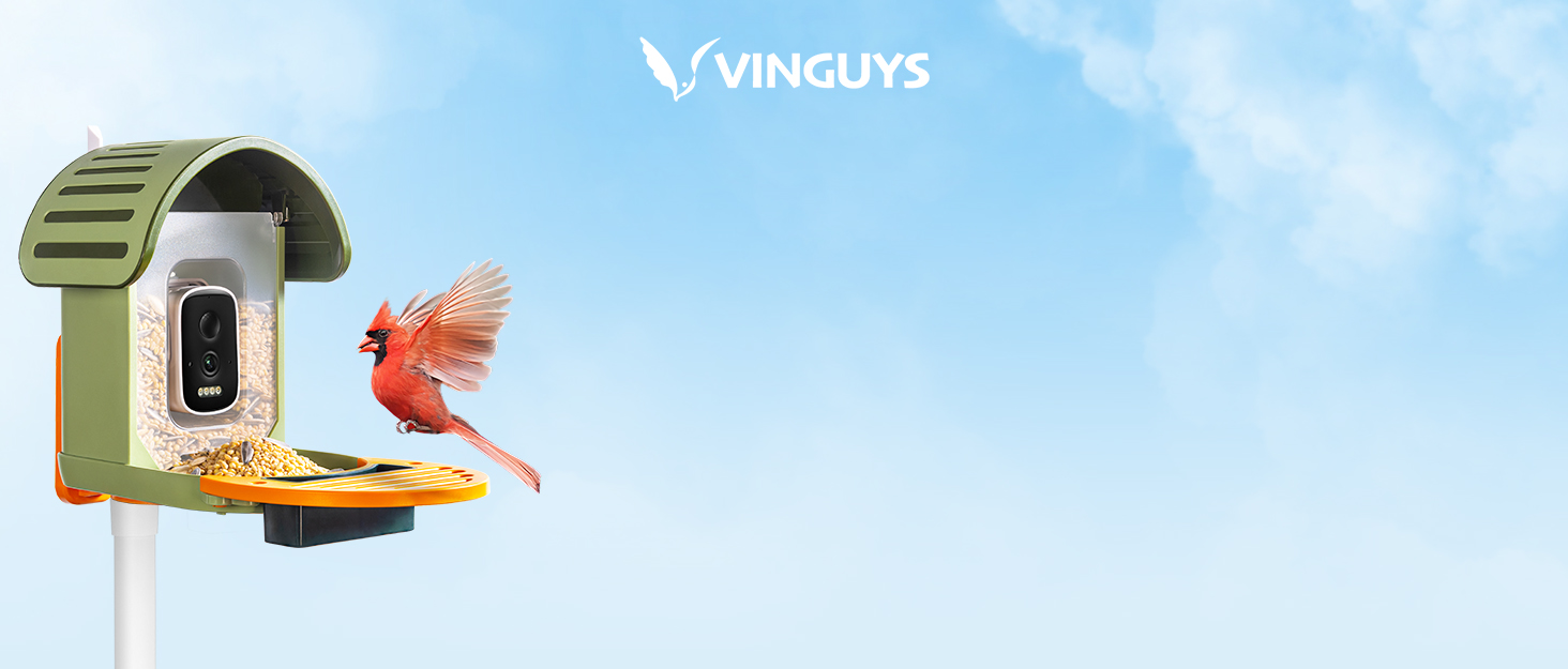 VINGUYS