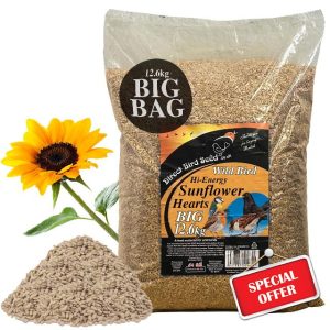 12.6kg Garden Bird Premium Sunflower Hearts Seed