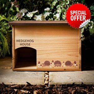 Hedgehog House