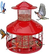 Metal Bird Feeder for Garden, Hanging Design for Small Birds