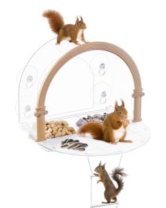Squirrel Feeders for Outside