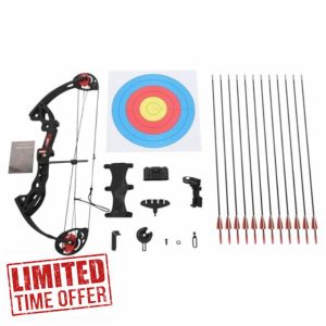 Compound Bow and Arrow Set