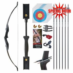 D&Q Ambidextrous Recurve Bow and Arrow 20Lbs Archery Set for Adult Junior Beginner Teenager Youth Outdoor Training Target Practice Takedown Bow Kit with Arrows Left Right Handed